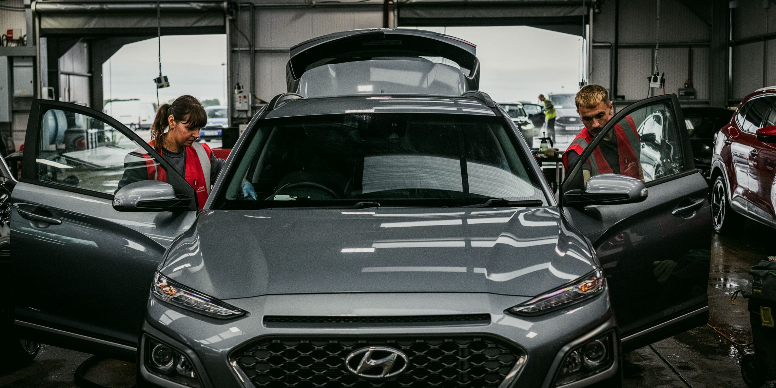 De-fleet preparation